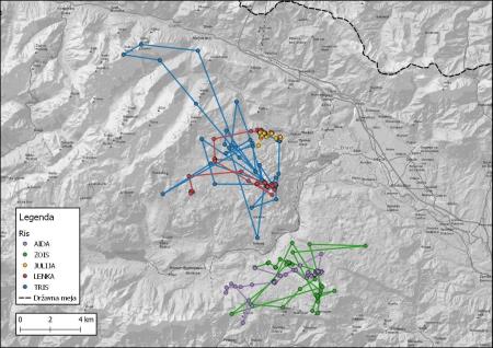 Zemljevid gibanja risov na Gorenjskem